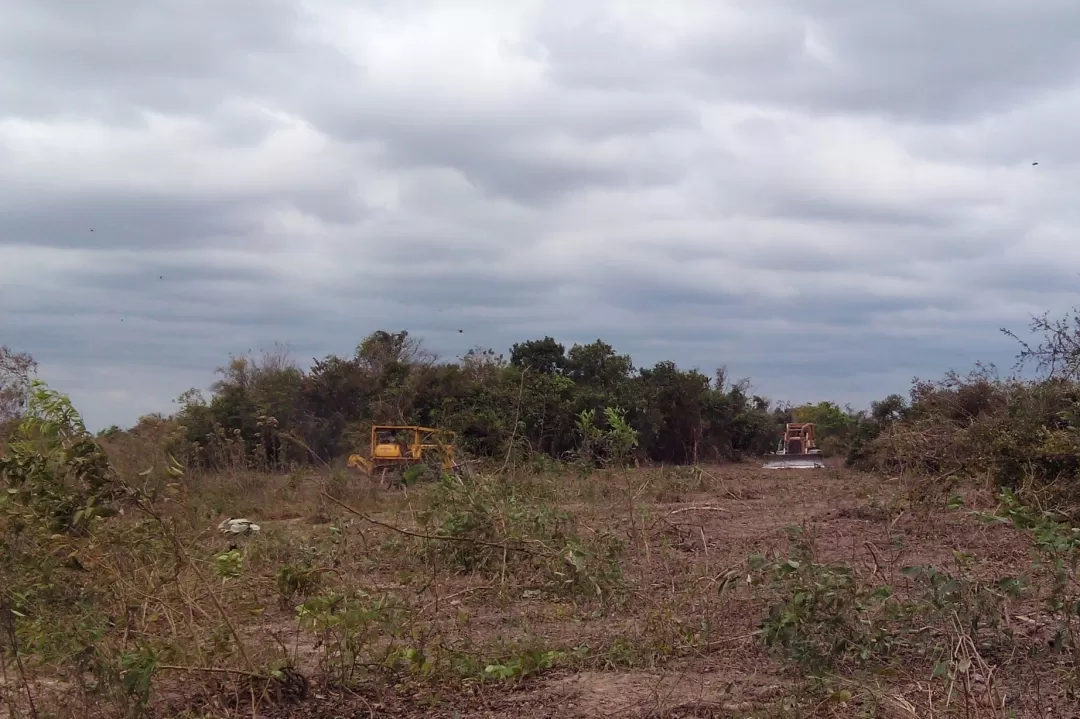 En Caño Chiquito, municipio de Paz de Ariporo las autoridades encontraron 3 buldócer en flagrancia, que han intervenido 400 hectáreas, aproximadamente.